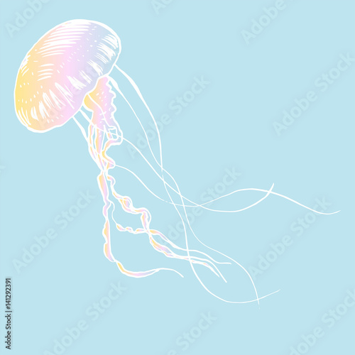 Vector illustration jellyfish. Painted by hand.