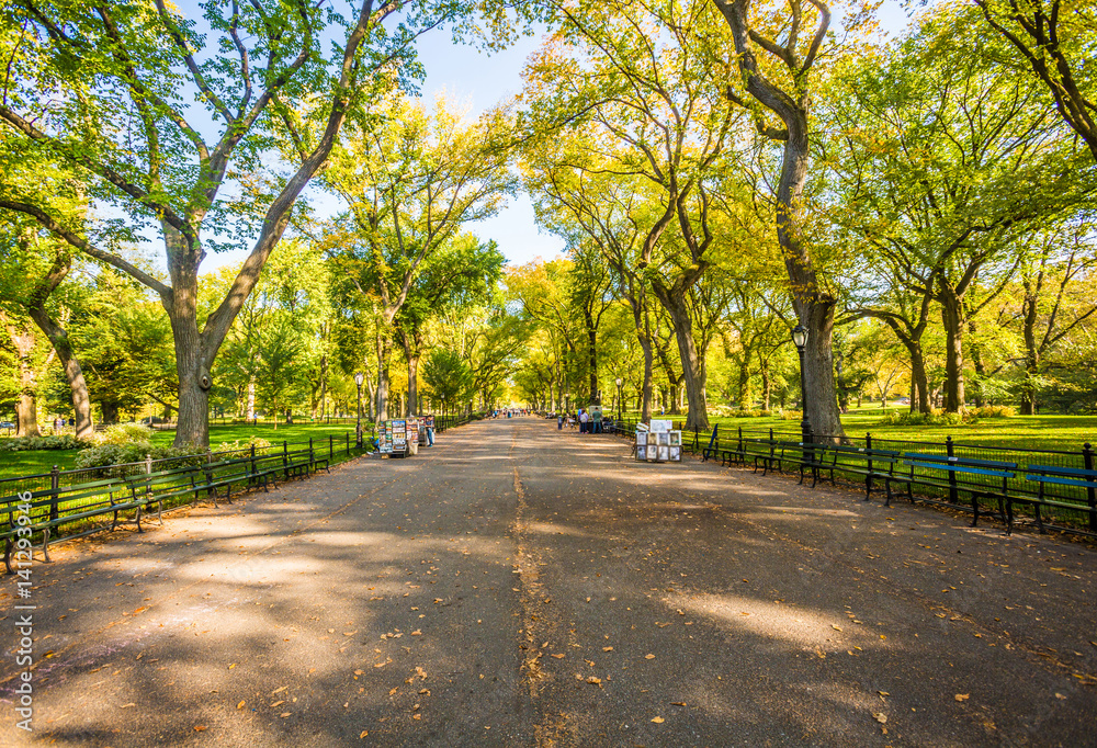 Naklejka premium Beautiful park in beautiful city..Central Park. The Mall area in Central Park at autumn., New York City, USA