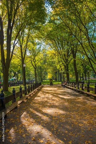Beautiful park in beautiful city..Central Park. The Mall area in Central Park at autumn., New York City, USA
