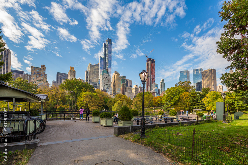 Central Park in the Autumn