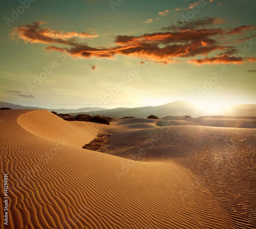Fototapeta Naklejka Na Ścianę i Meble -  Sand dunes at sunset light on background of dramatic sky