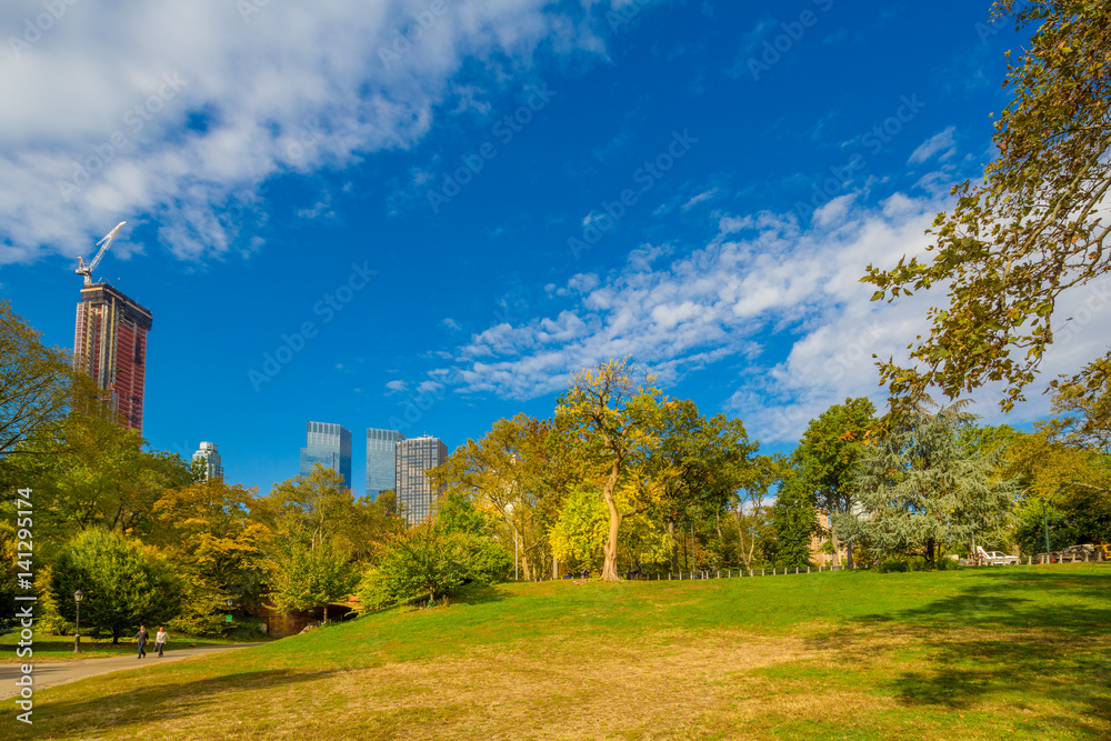 Central Park in the Autumn Central Park in the Autumn