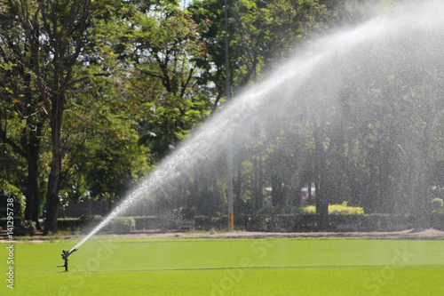 Sprinkler in Watering green lawn of golf courses.