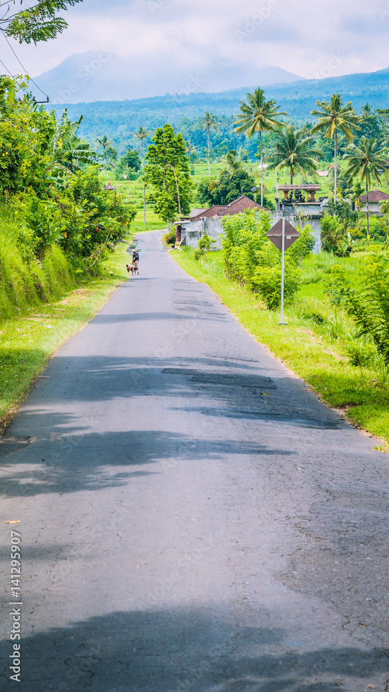 Rural road in Sediment District, Bali Island, Indonesia