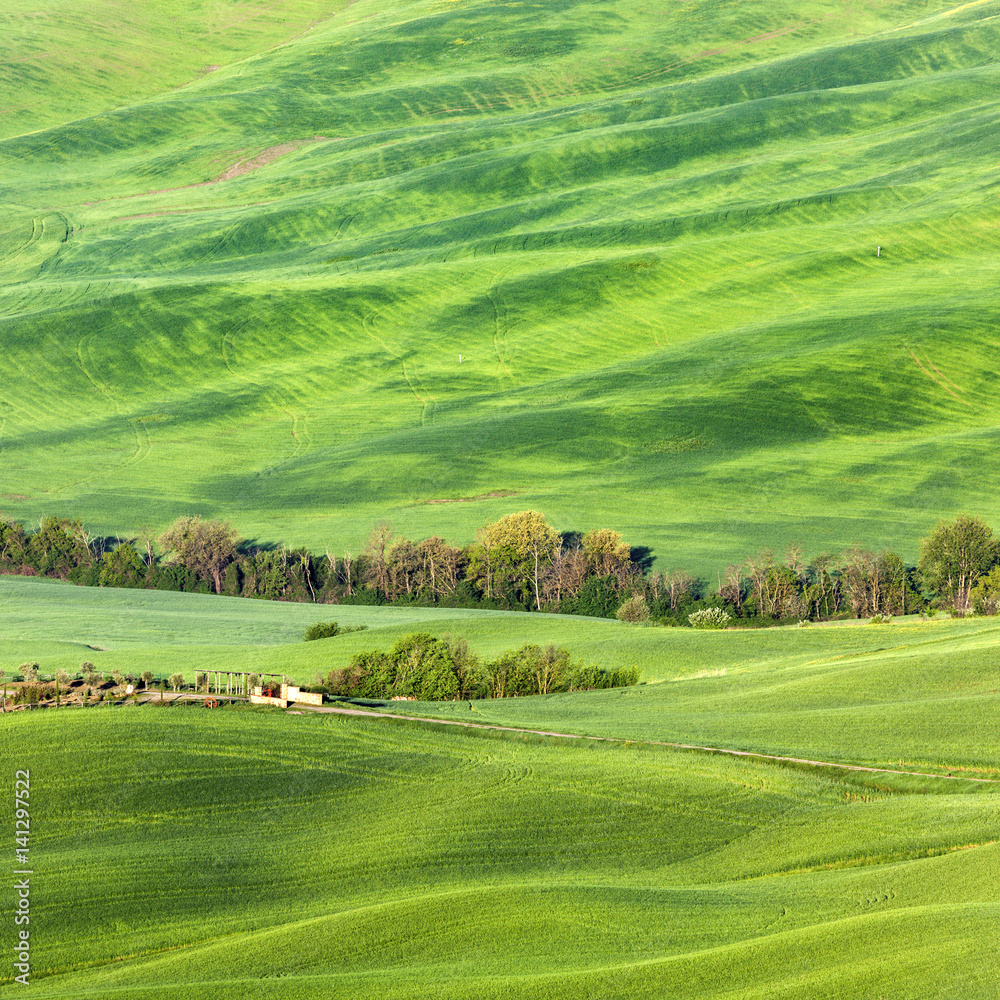 Naklejka premium Tuscany landscape during spring