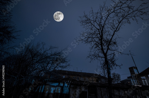 Beautiful landscape village street with buildings and trees and big full moon at the night sky. Big Caucasus . Azerbaijan nature Gazakh © zef art