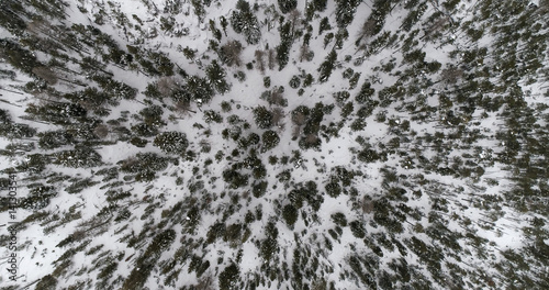 Aerial view of snow covered forest. Winter season