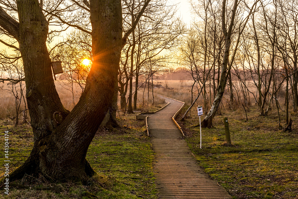 Fotografie End of Day