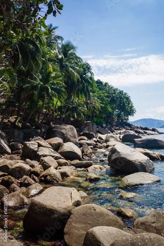 The beach with rocks and palms. The beach with the different palm trees and big stones. Vertical outdoors shot.