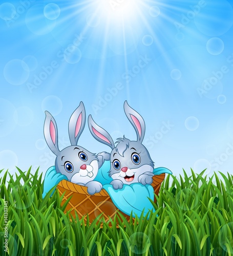 Baby bunnies in a basket with a towel on the grass background 