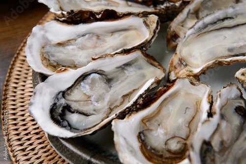 oyster, 생굴 