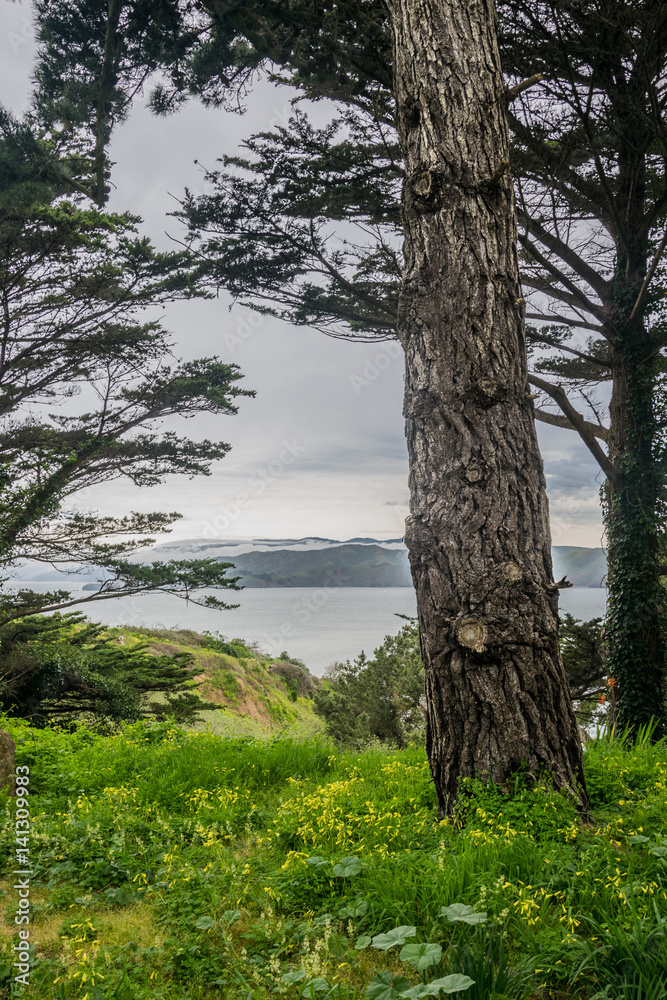 Fototapeta premium Golden Gate Park with Ocean View. California, United States.