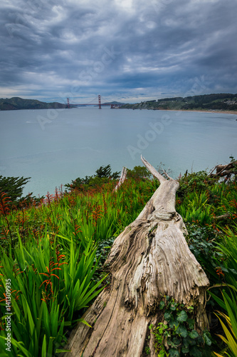 Old broken wood and Golden Gate Bridge. California, United States.