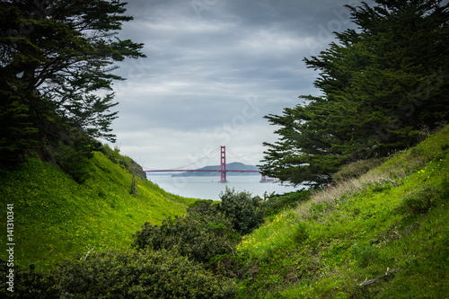 Golden Gate Through the Trees. California, United States.