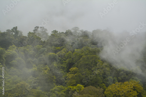 Sea of mist on mountain with tropical rainforest