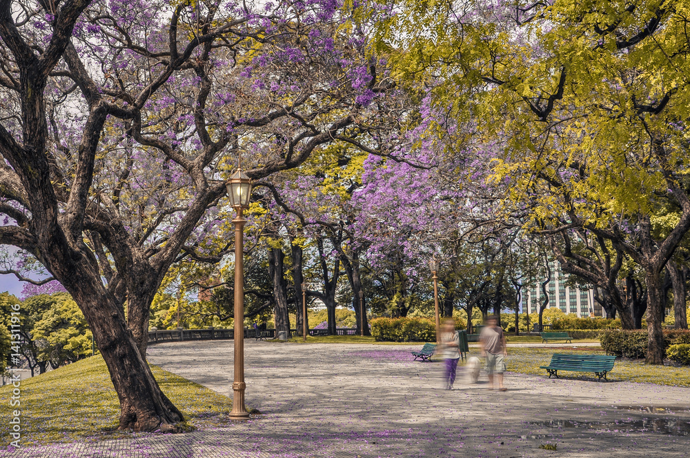 Naklejka premium City Park