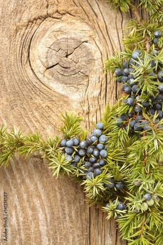 Juniper berries on vintage wooden background