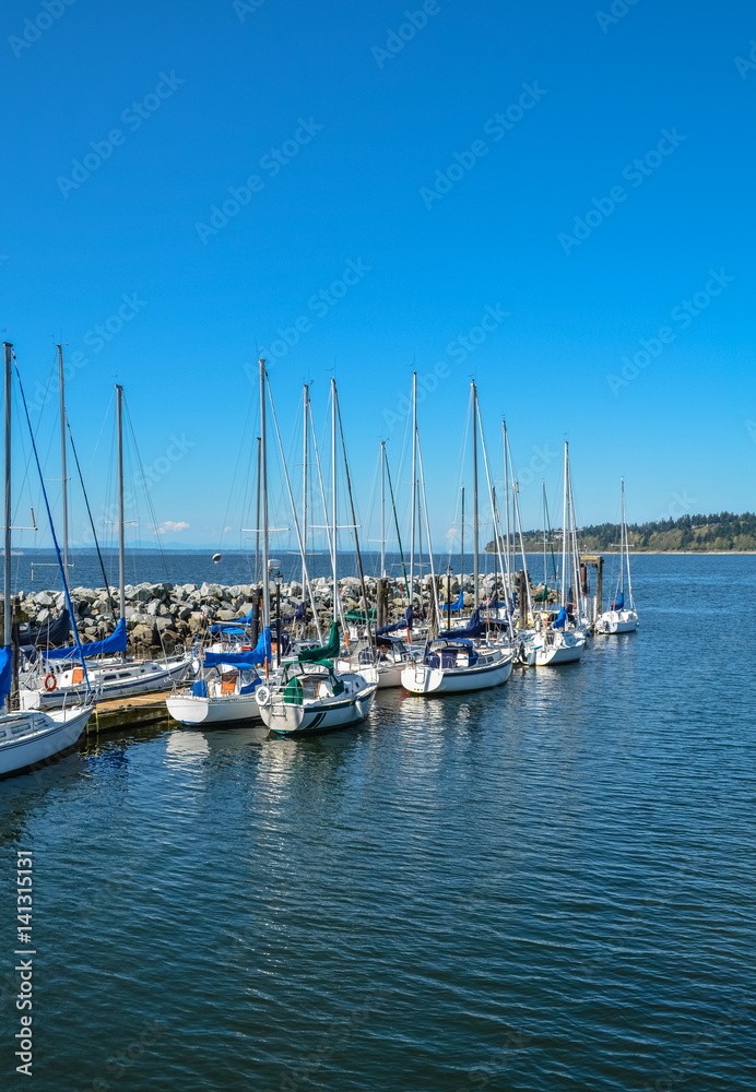 Sailing boats yachts at mooring line on Pacific ocean. Landscape of marine regatta floating in the harbor