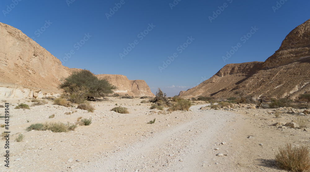 Arava desert travel in Israel