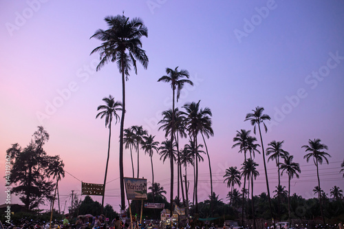 palm trees in the sky. India. arambol © Anastasya