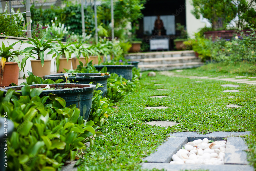 Plants, flowerpots, flowerbed in the largest Buddhist temple Kek Plants, flowerpots, flowerbed in the largest Buddhist temple Kek