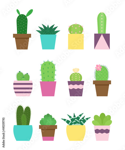 Set of cactus and succulents in pots. Indoor plants in flat style.