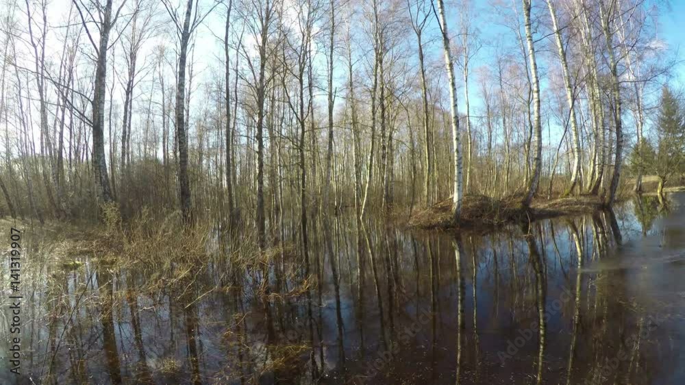 Spring water flood in birch forest and tree shadows motion, time lapse 4K Spring water flood in birch forest and tree shadows motion, time lapse 4K
