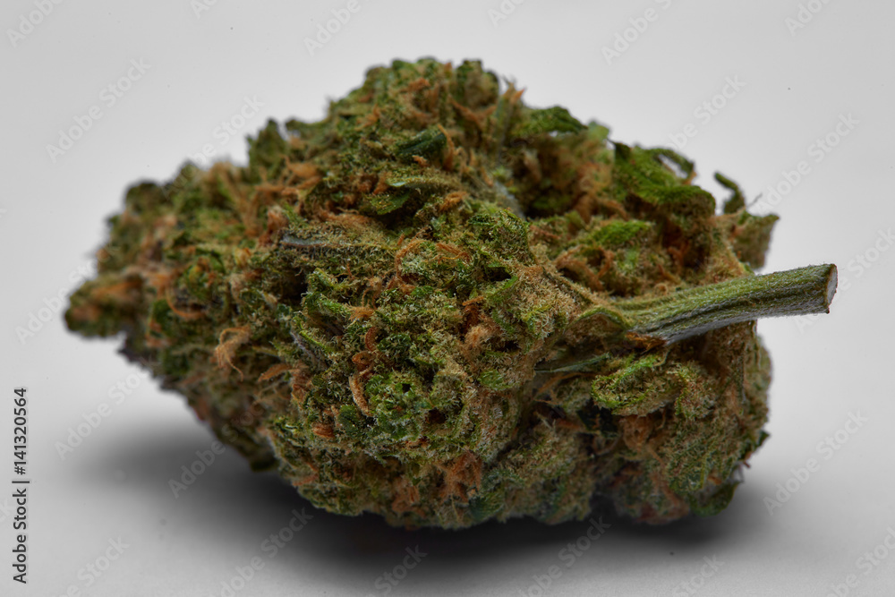 Close up of Blue Dream medical marijuana bud
