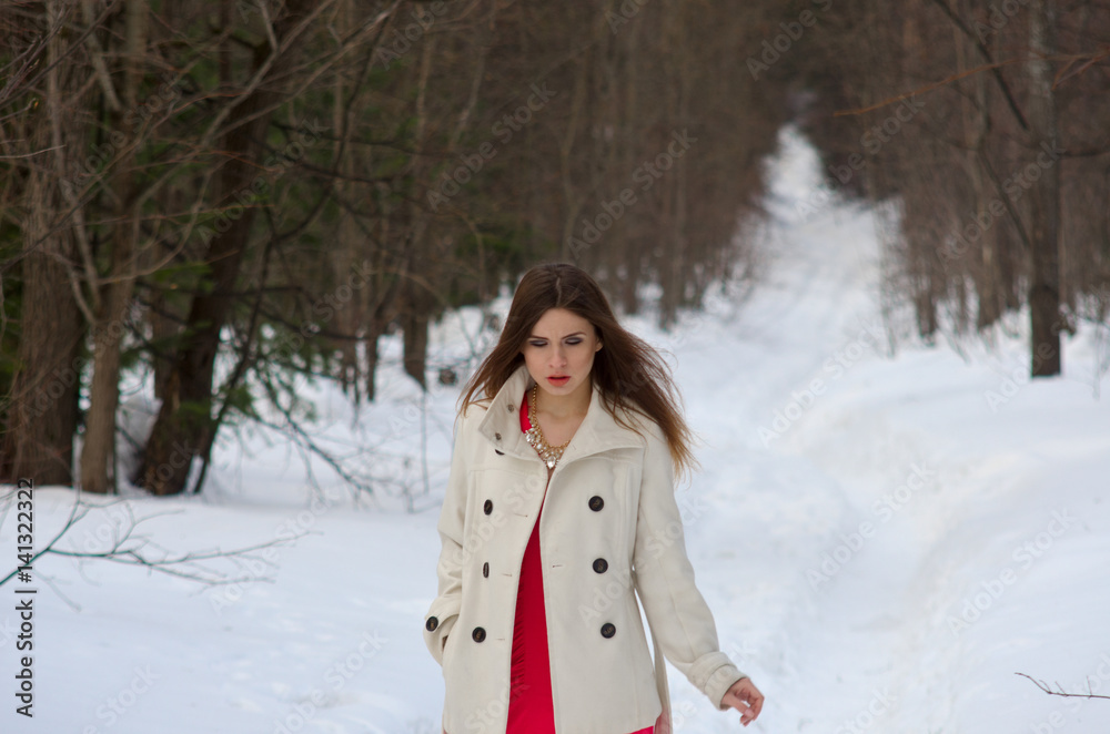 beautiful girl in dress and coat beautiful girl in dress and coat