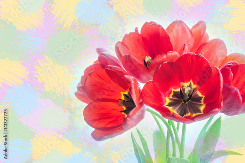 Colorful spring flowers, Bouquet of tulips. Floral motif wallpaper. Soft blur style, drawing effect © Sun-flower