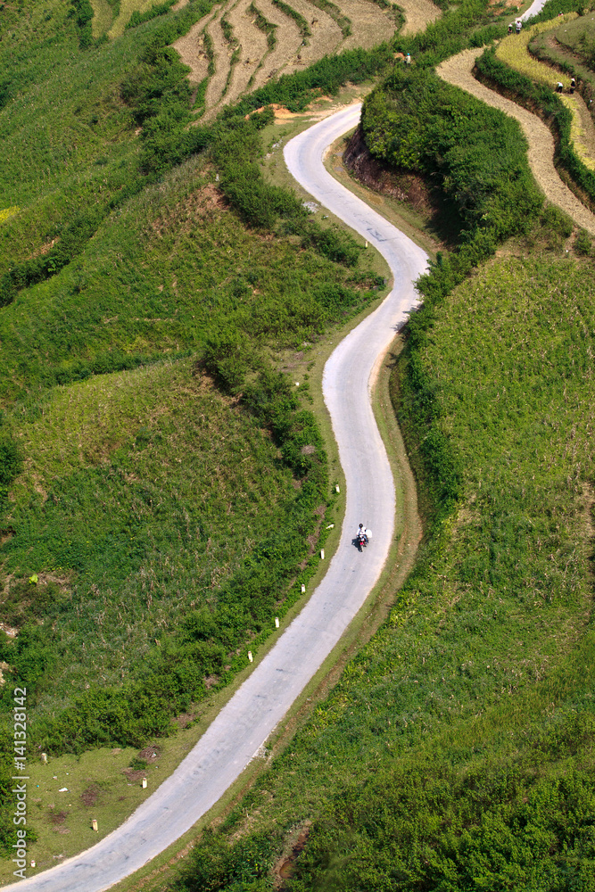 Terraced rice fields in Vietnam