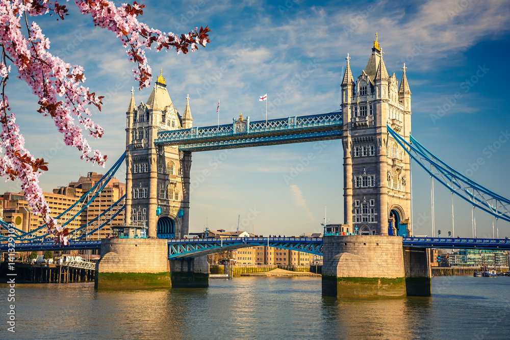 Fototapeta premium Tower bridge at spring, London