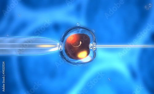 3D rendering of an artificial insemination or fertilization of an ovum photo