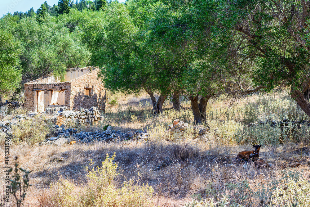 Old Assos village, Kefalonia, Greece
