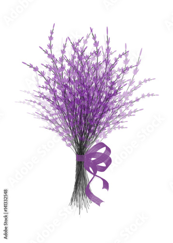 Illustration of bouquet lavender with lilac festive ribbon isolated on white background.