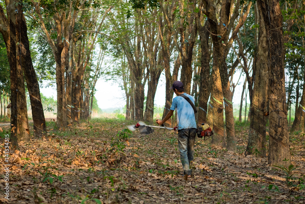 Farmer use machine to blow leaf to clean. Binh Phuoc, Viet Nam Farmer use machine to blow leaf to clean. Binh Phuoc, Viet Nam