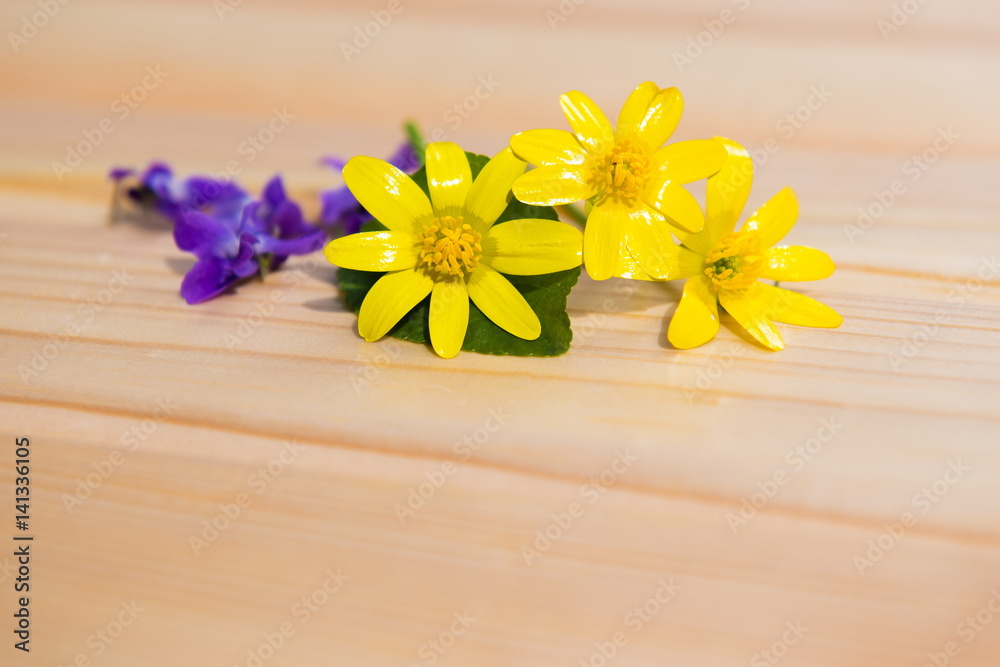Flowers on wooden . Small field flowers. flower on wooden background. Spring still-life, minimalism, selective focus, space for text. Ekibana, Still Life
Flowers on wooden . Small field flowers. flower on wooden background. Spring still-life, minimalism, selective focus, space for text. Ekibana, Still Life