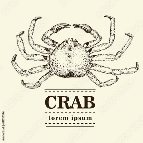 Vector seafood illustration with crab. Retro logo temtlate.