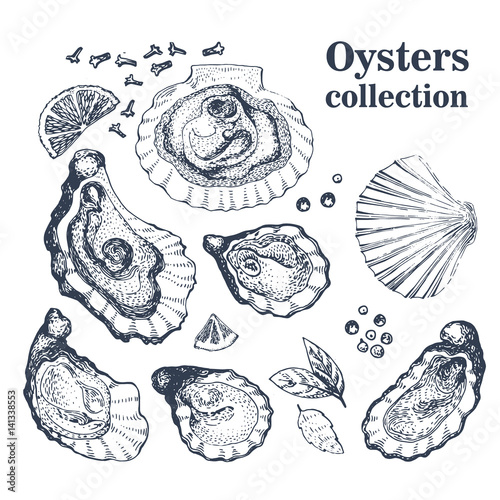 Vector hand drawn collection of oysters.