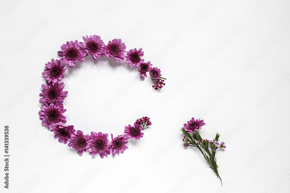 Flowers on white background. Flat lay, top view Flowers on white background. Flat lay, top view