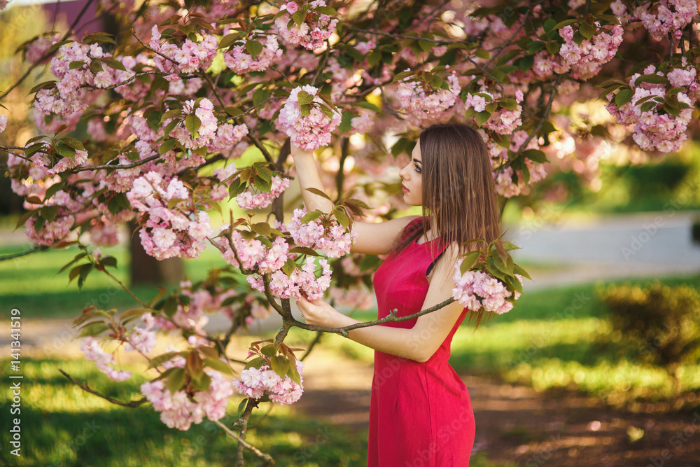 Beautiful girl posing to the photographer against the background of blooming pink trees. Spring. Sakura. Beautiful girl posing to the photographer against the background of blooming pink trees. Spring. Sakura.