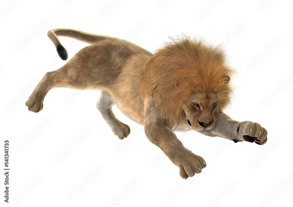 Fototapeta premium 3D Rendering Male Lion on White