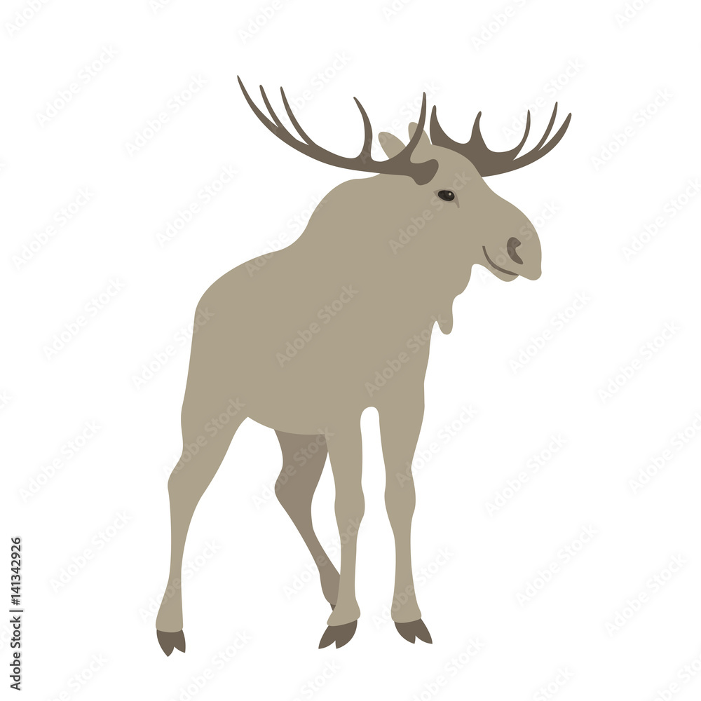 moose  vector illustration style Flat
