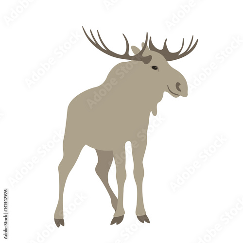 moose  vector illustration style Flat