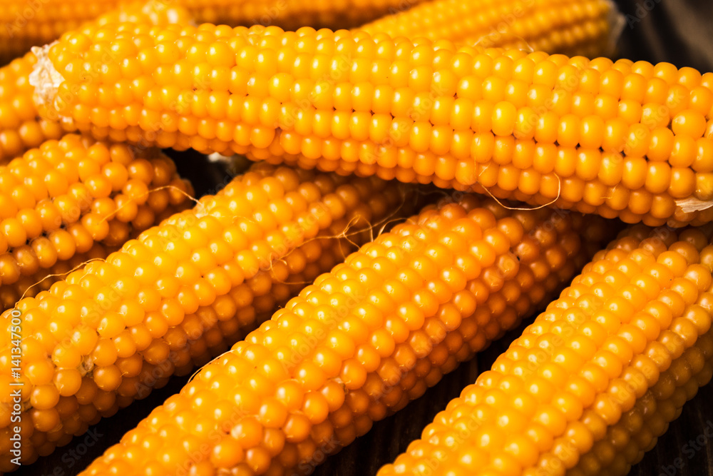 Fototapeta premium corn on the cob