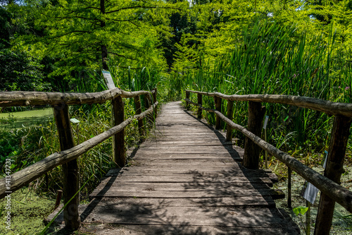 Arboretum w Bolestraszycach 