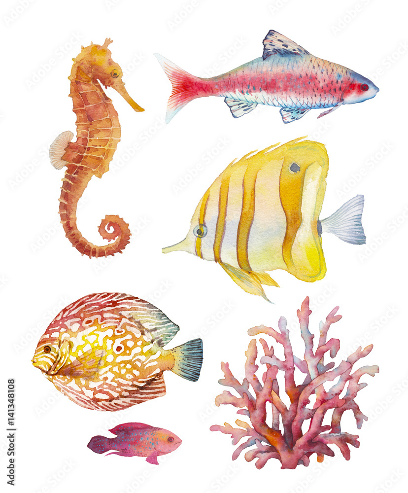 Watercolor coral reef set. Hand drawn coral, fishes, sea horse isolated on white background