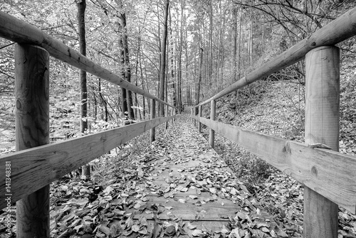 Photo old wooden footbridge