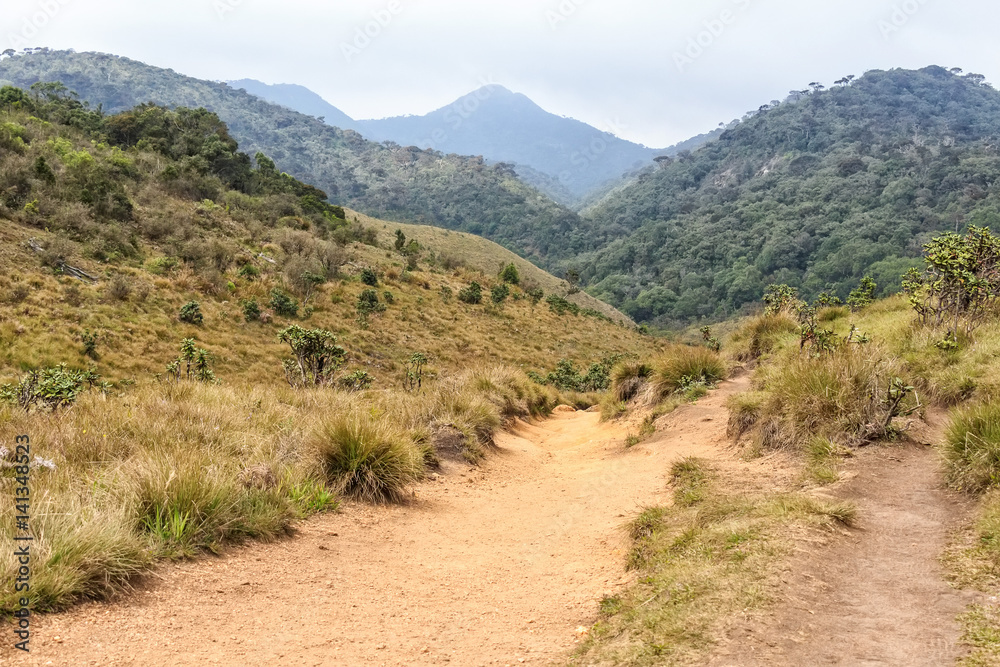 Beautiful view of Horton Plains Beautiful view of Horton Plains