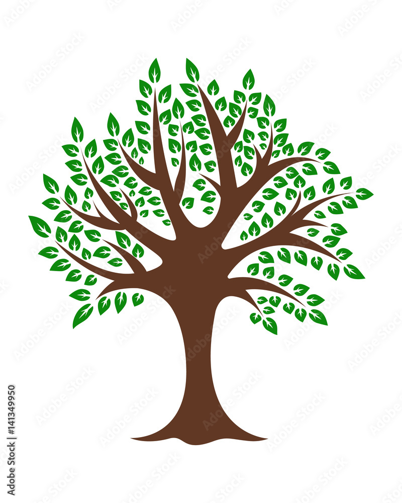 Fototapeta premium Natural green tree on a white background